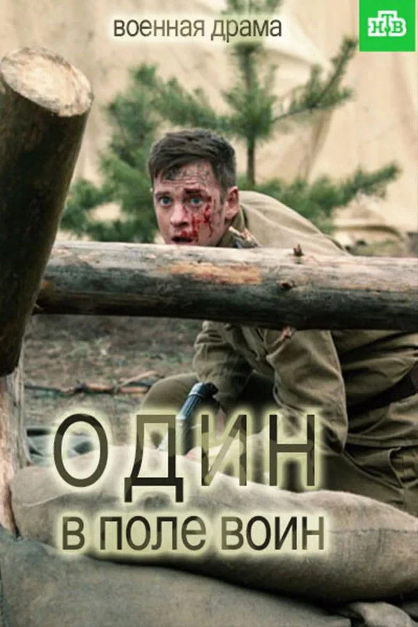 Постер сериалаОдин в поле воин