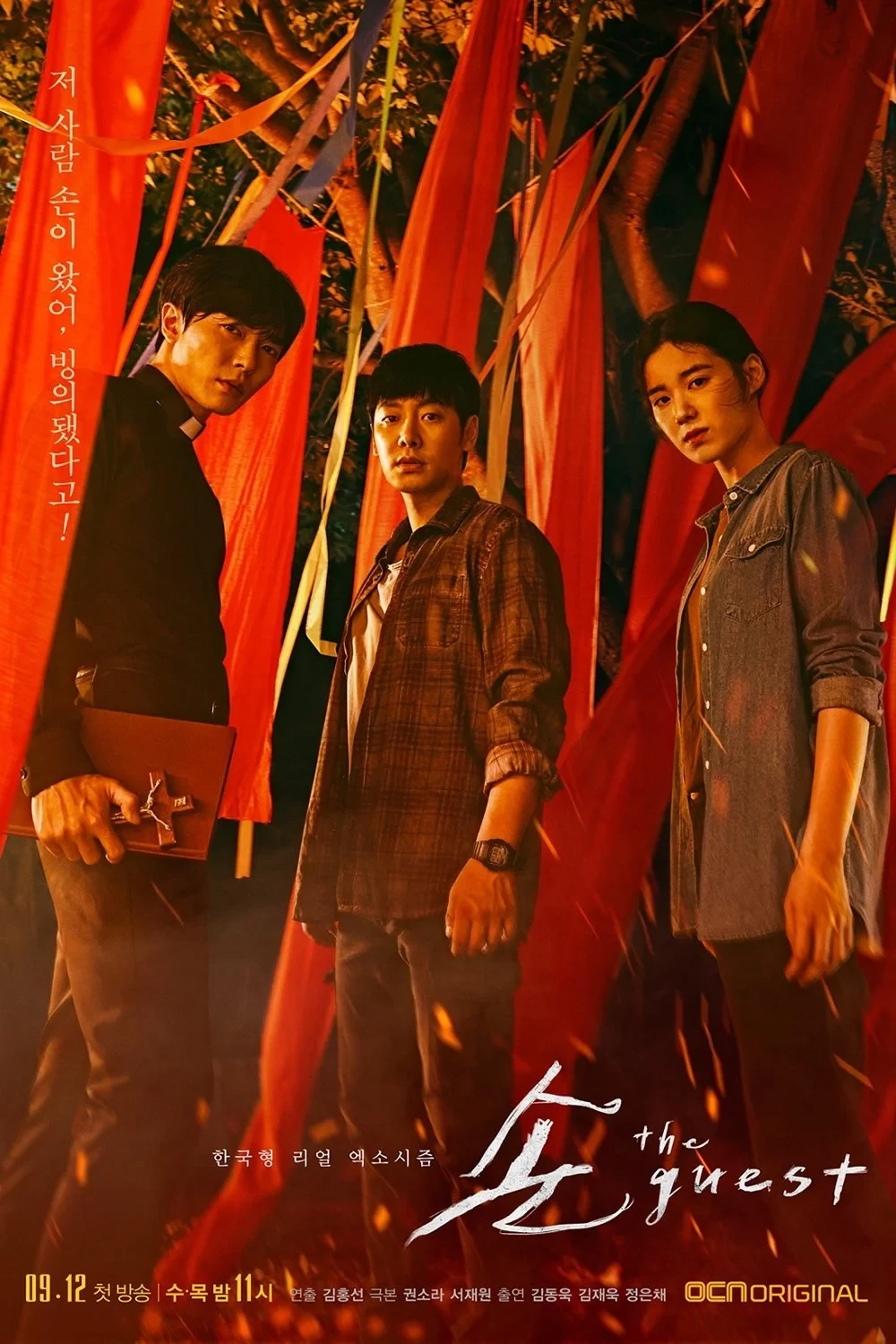 Постер сериалаГость