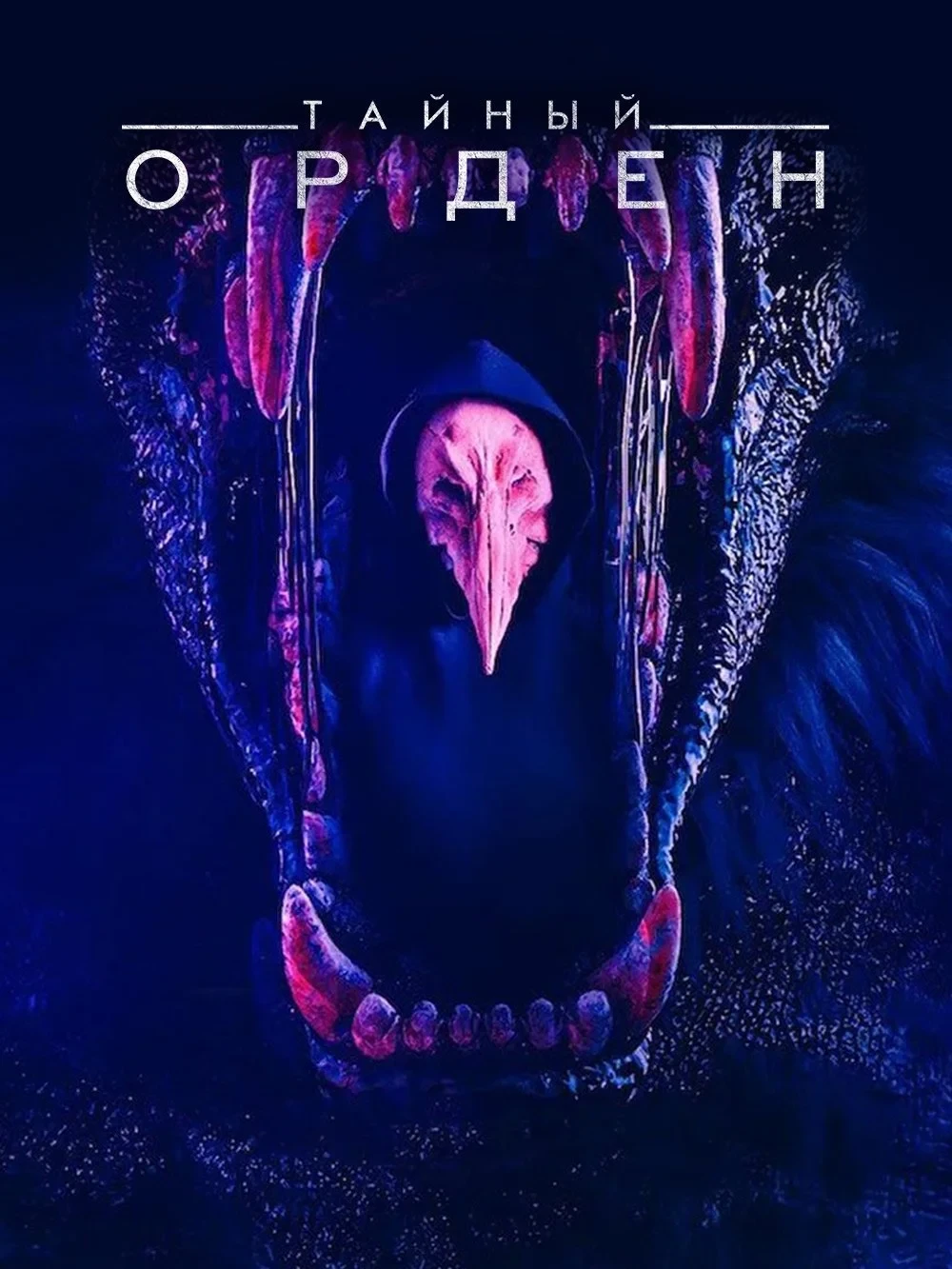 Постер сериалаТайный орден