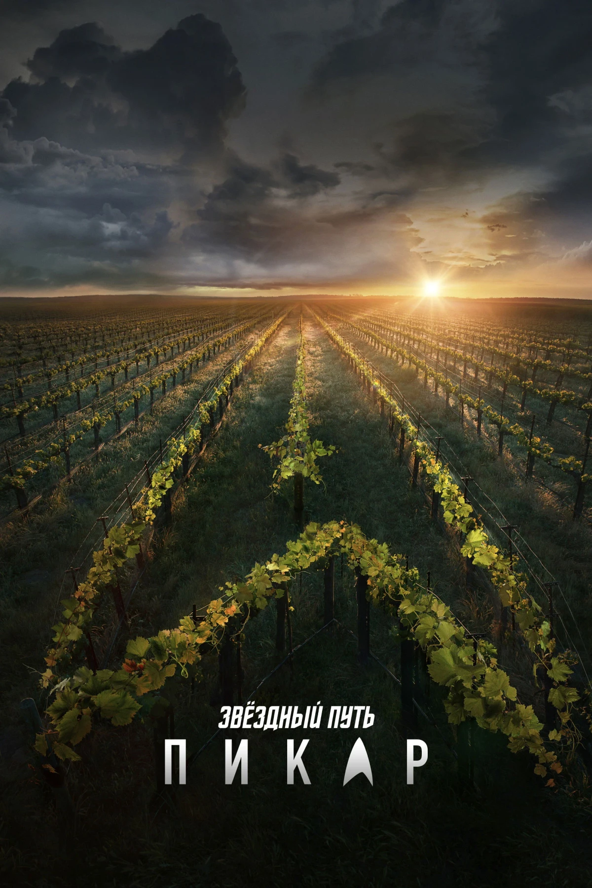 Постер сериалаЗвёздный путь: Пикар