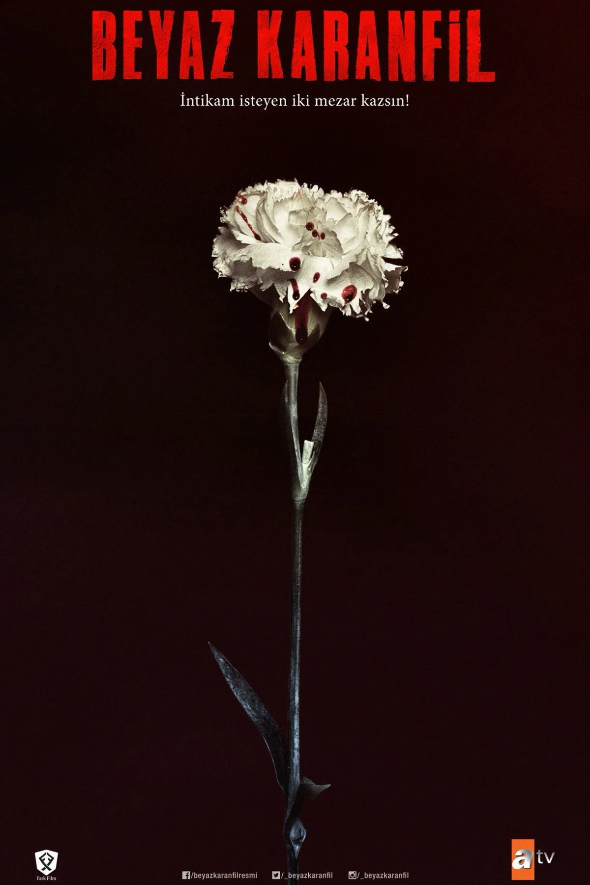 Постер сериалаБелая гвоздика