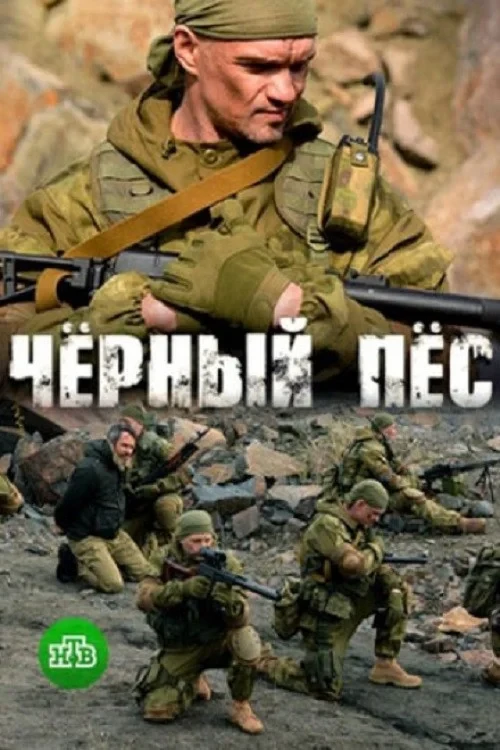 Постер сериалаЧерный пес