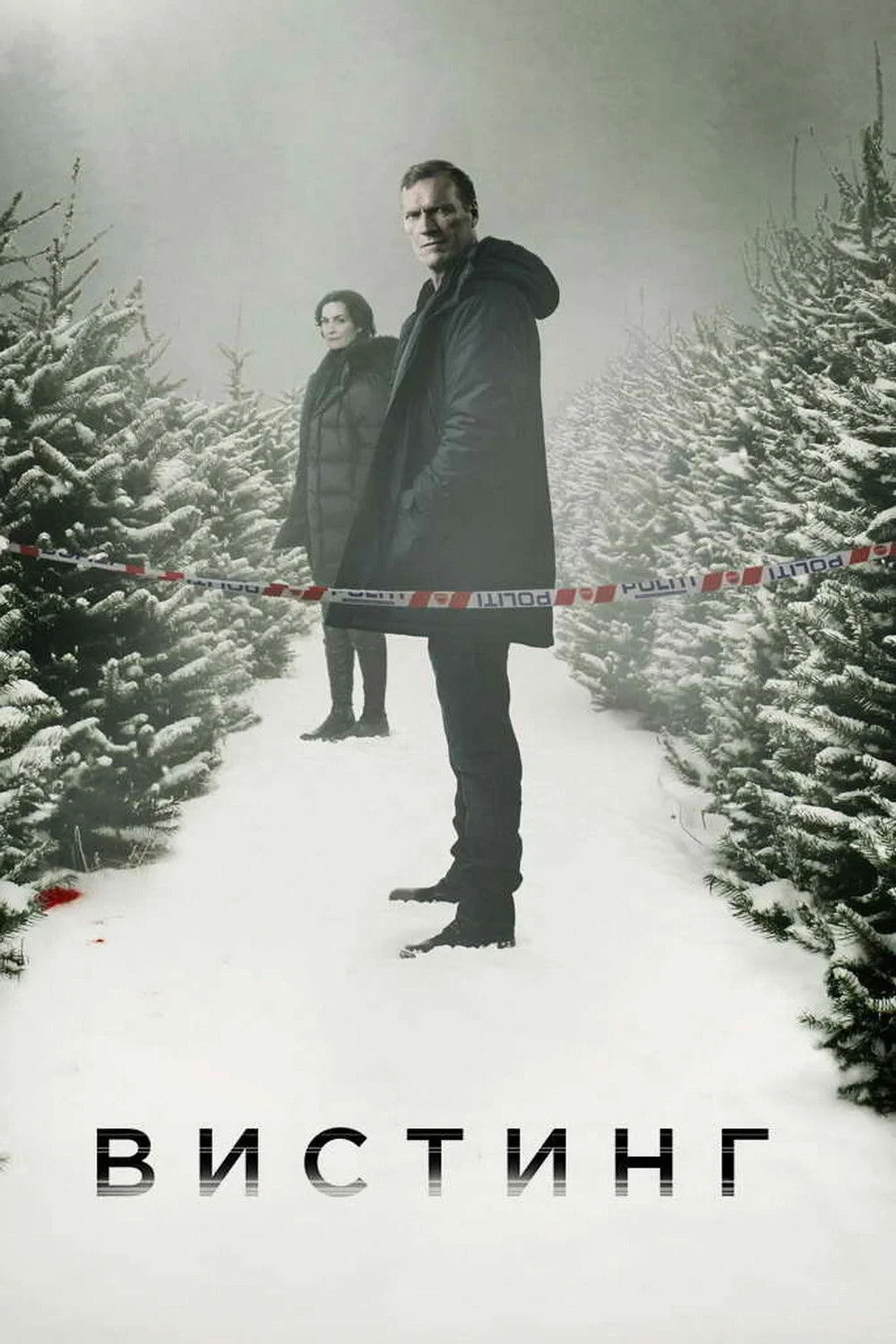 Постер сериалаДетектив Вистинг