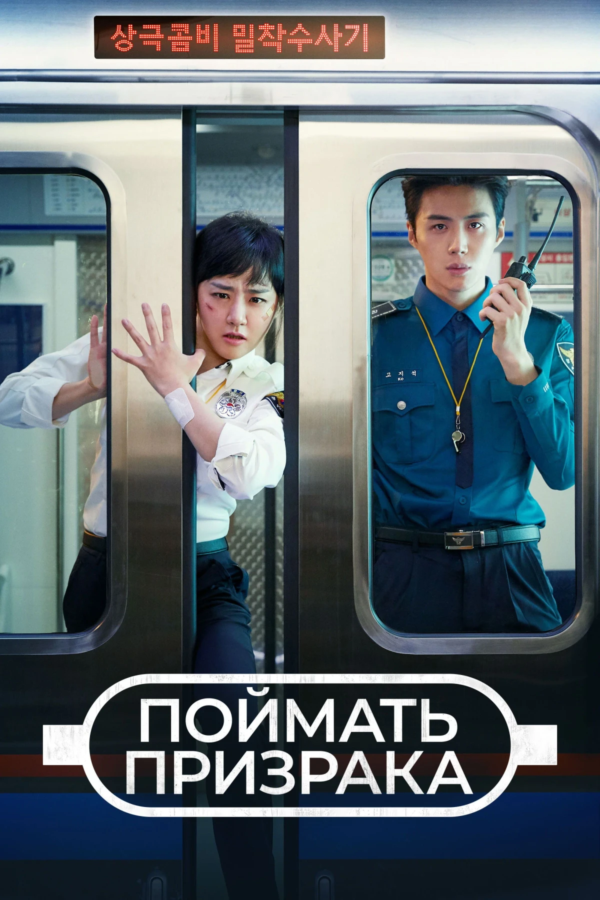 Постер сериалаПоймать призрака