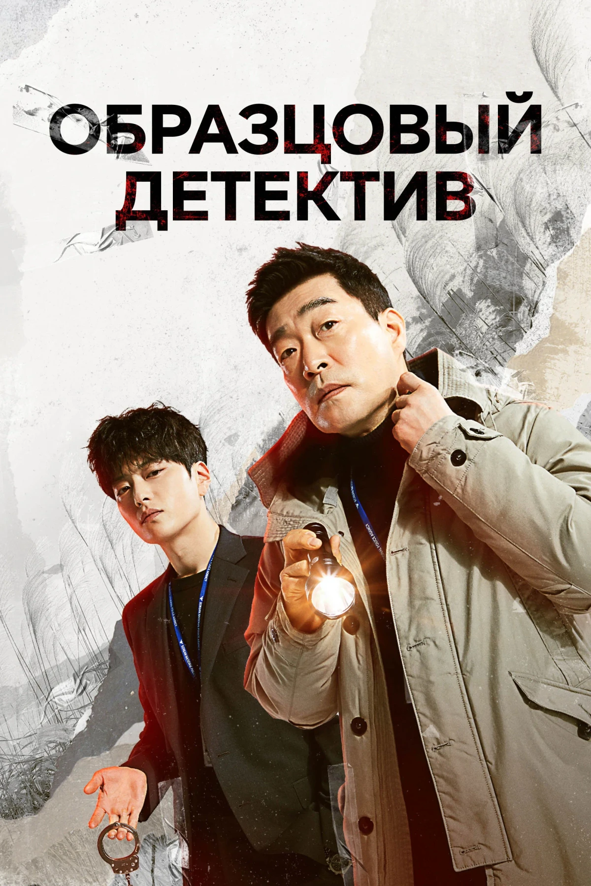 Постер сериалаОбразцовый детектив