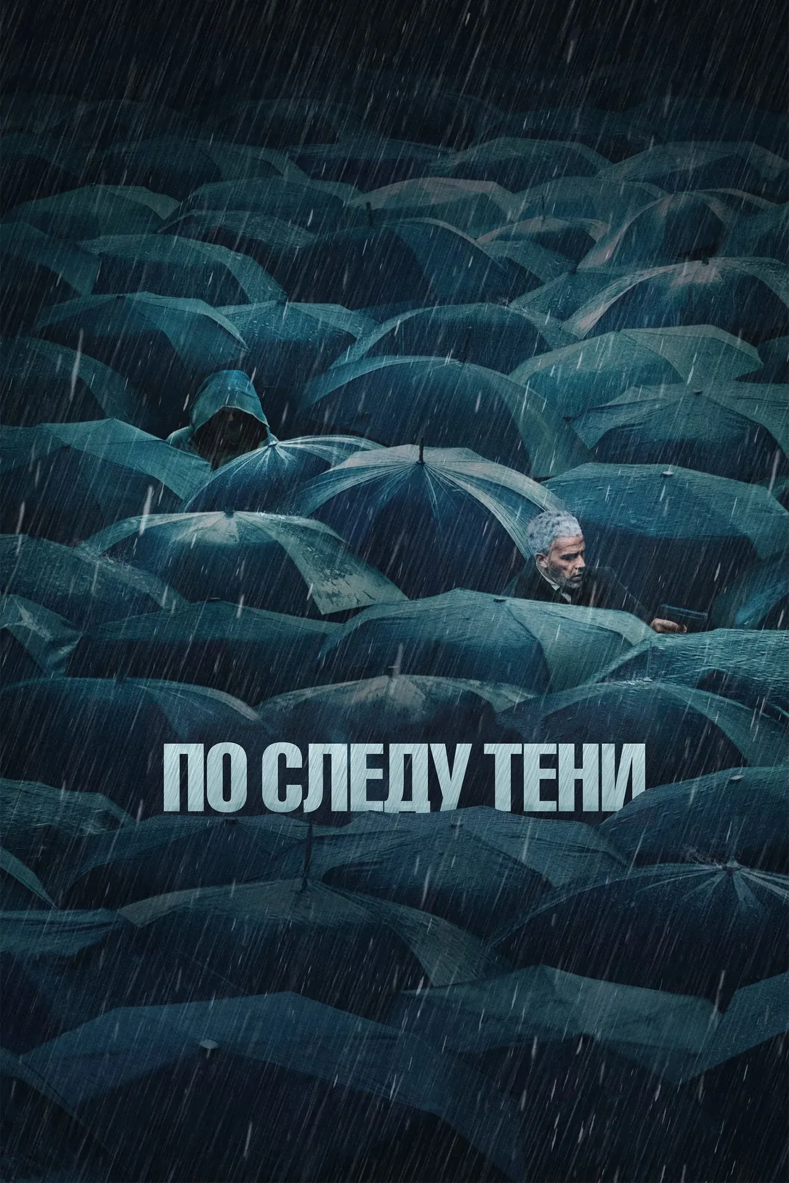 Постер фильма По следу тени