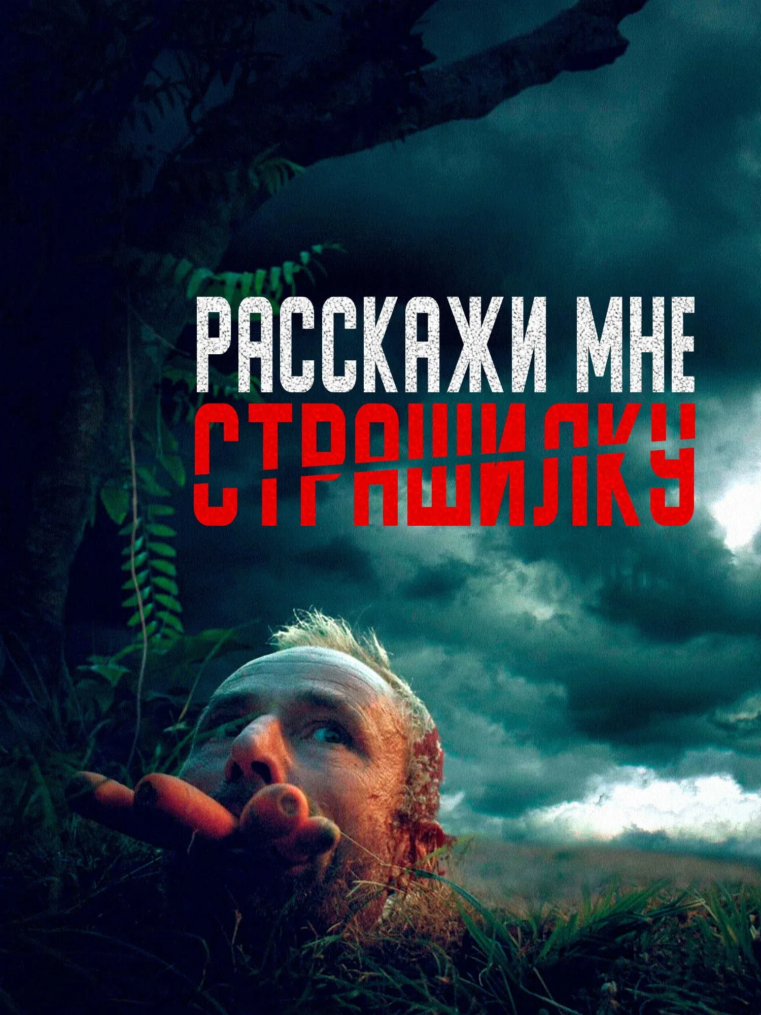 Постер фильма Расскажи мне страшилку