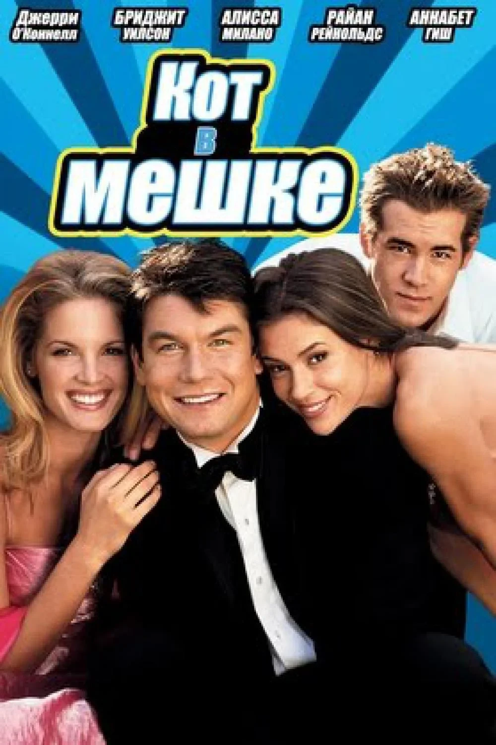 Постер фильма Кот в мешке