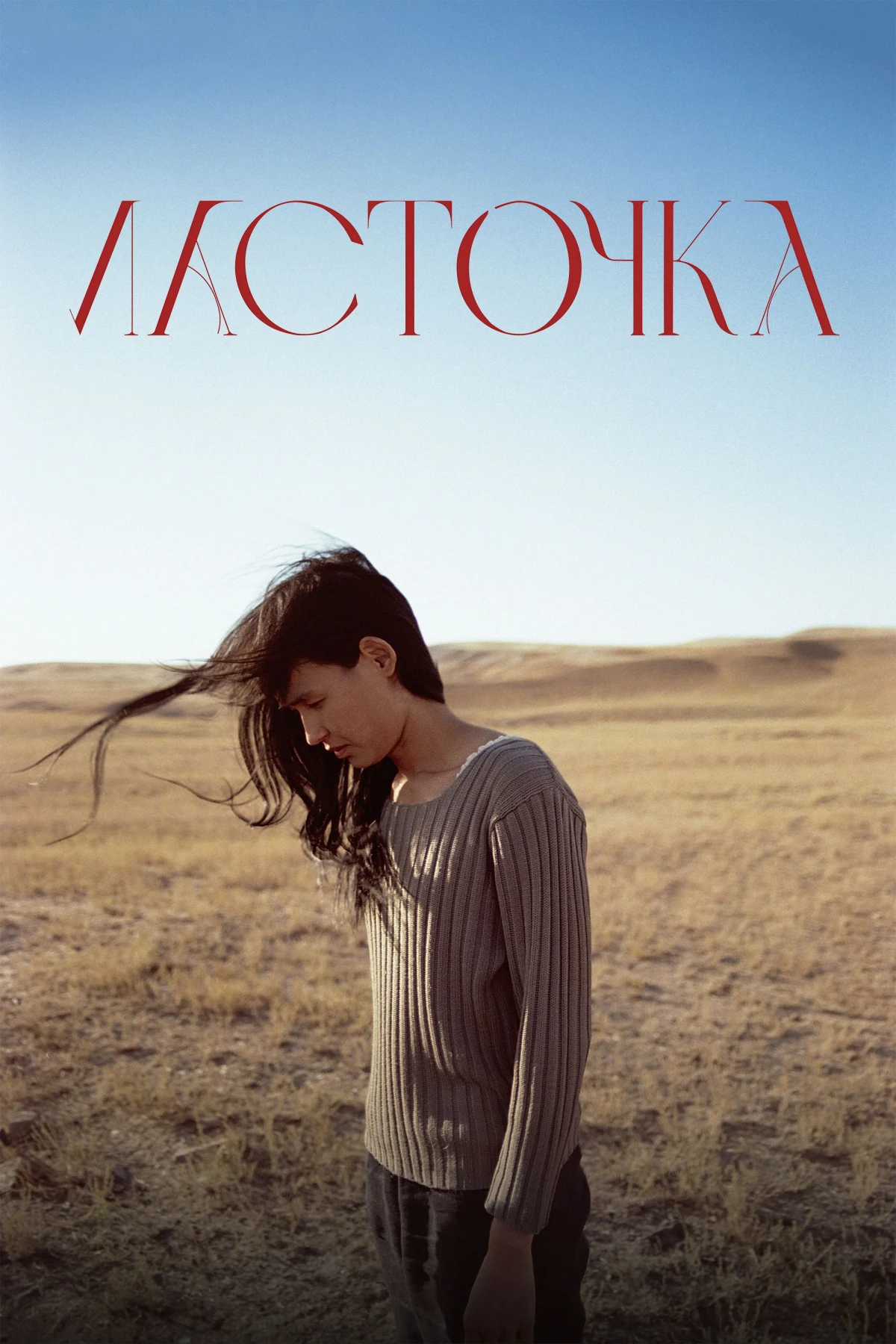 Постер фильма Ласточка