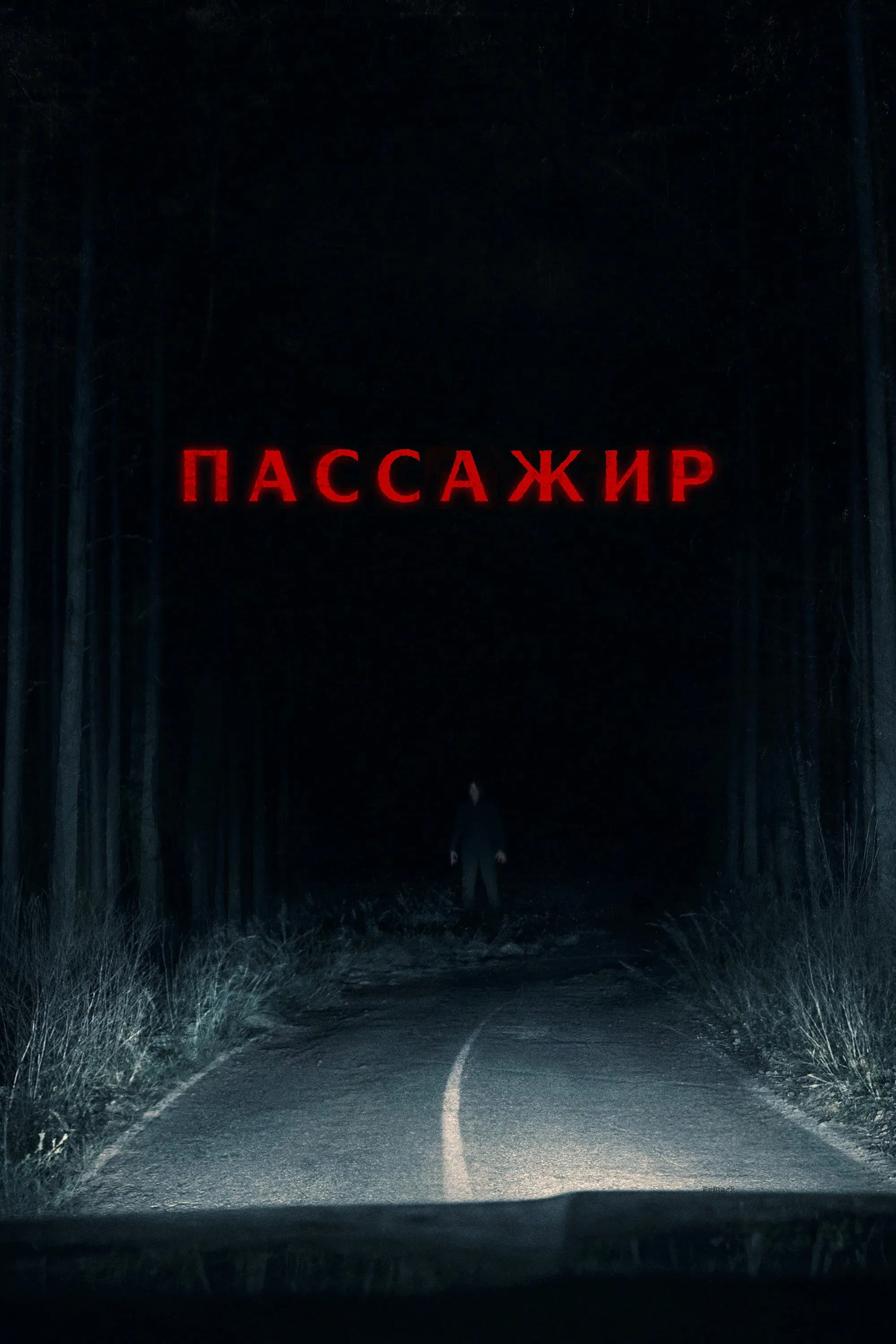 Постер фильма Пассажир