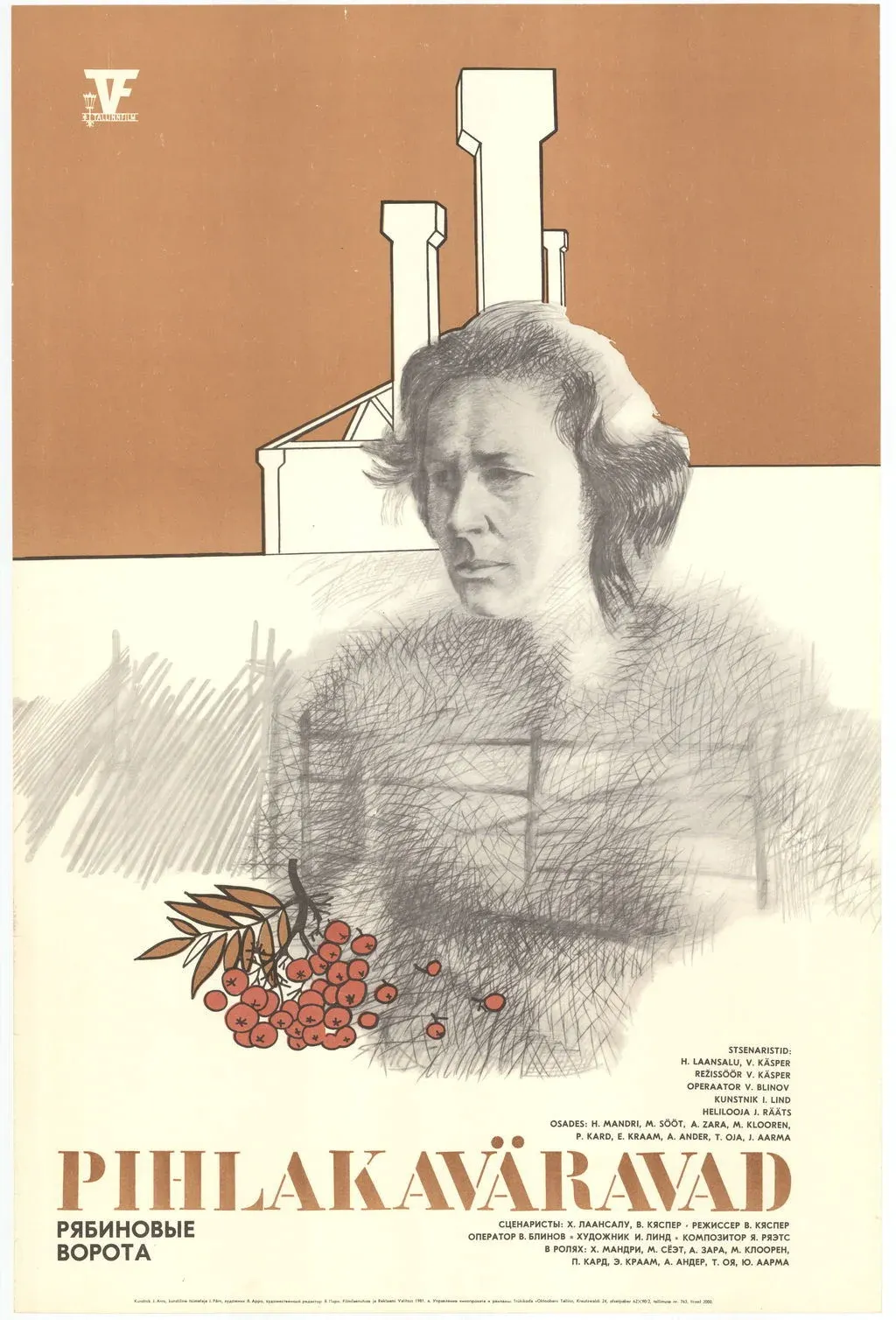 Постер фильма Рябиновые ворота