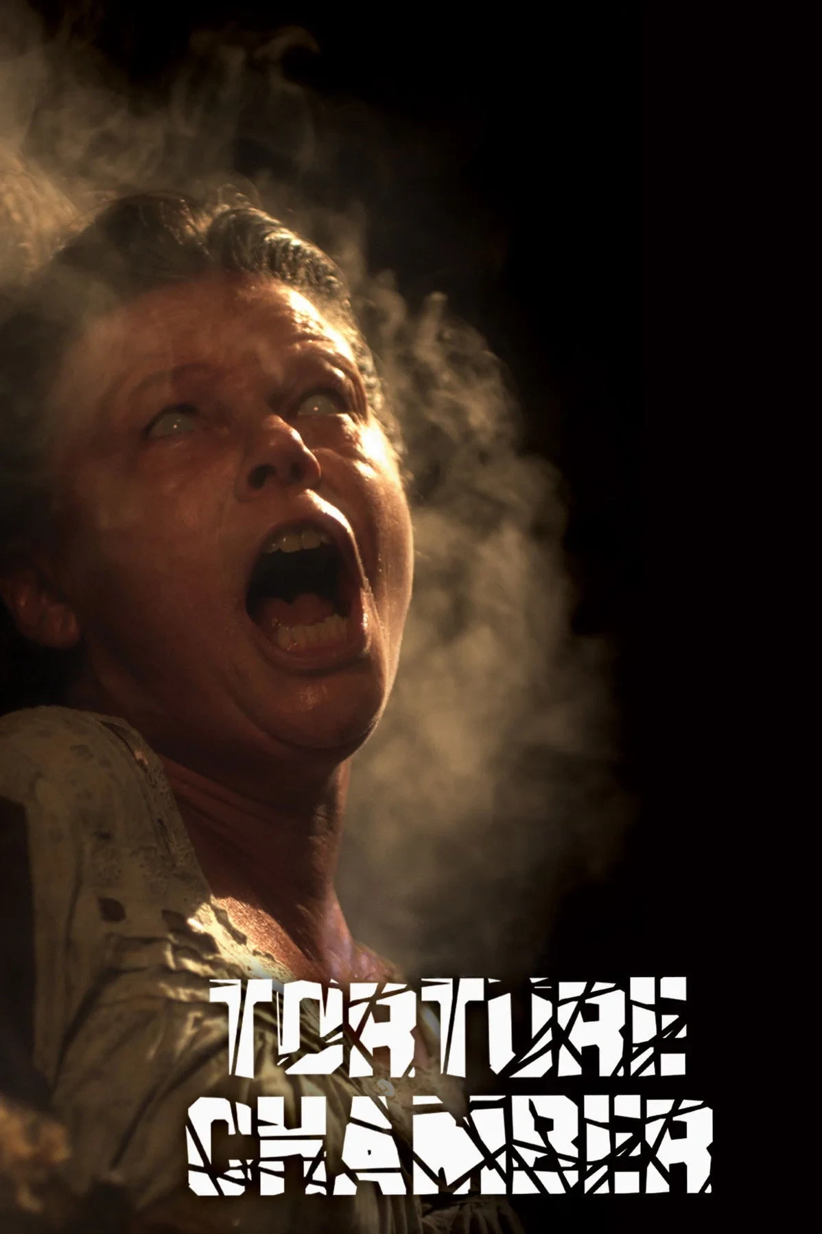 Постер фильма Камера пыток