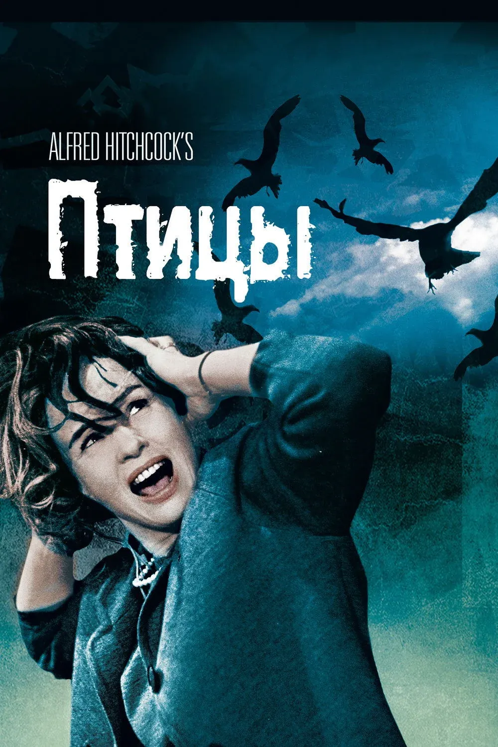 Постер фильма Птицы