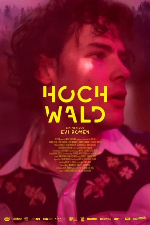 Постер фильма Почему не ты?