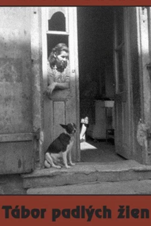 Постер фильма Лагерь падших женщин