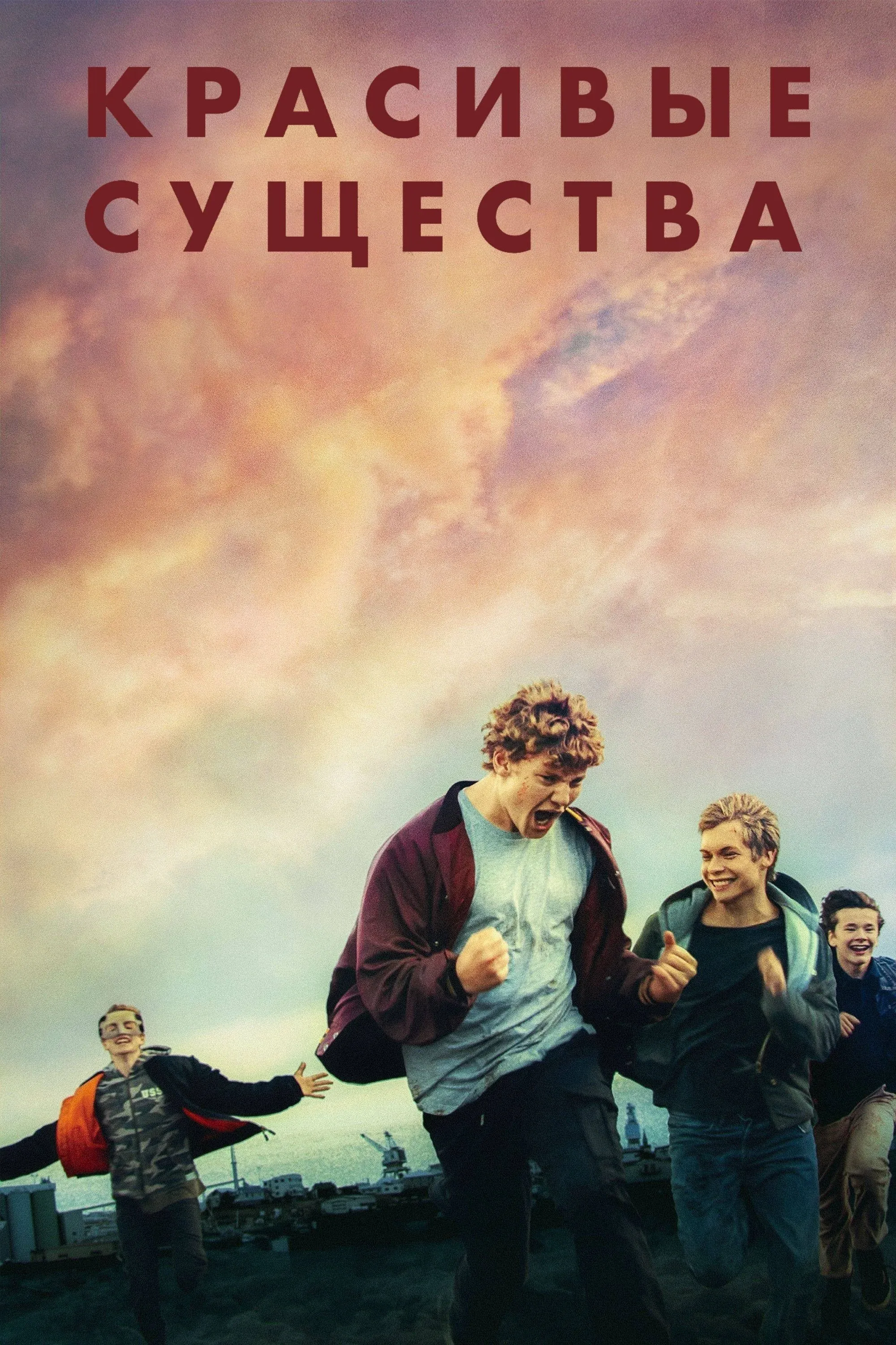 Постер фильма Красивые существа