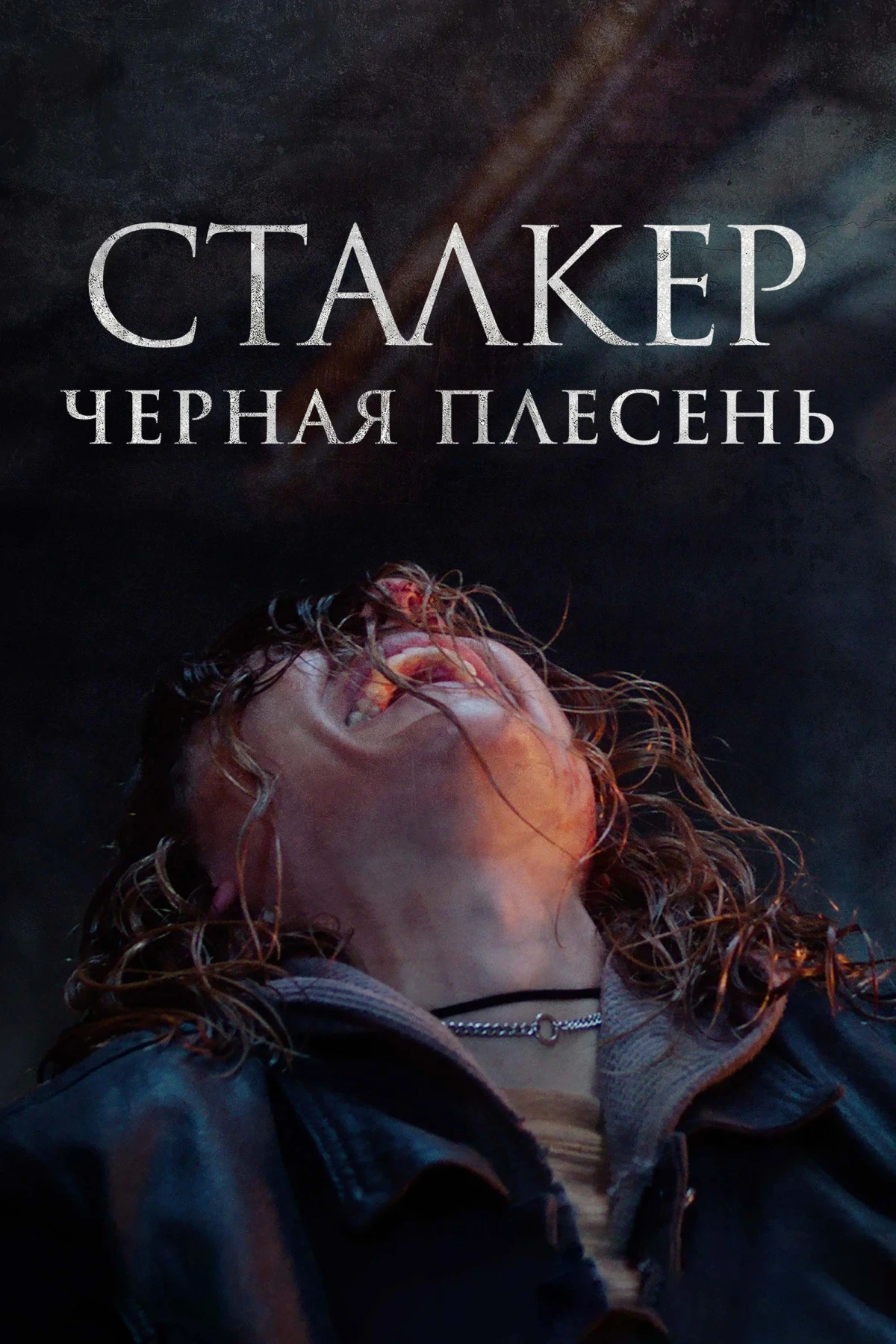 Постер фильма Сталкер. Черная плесень