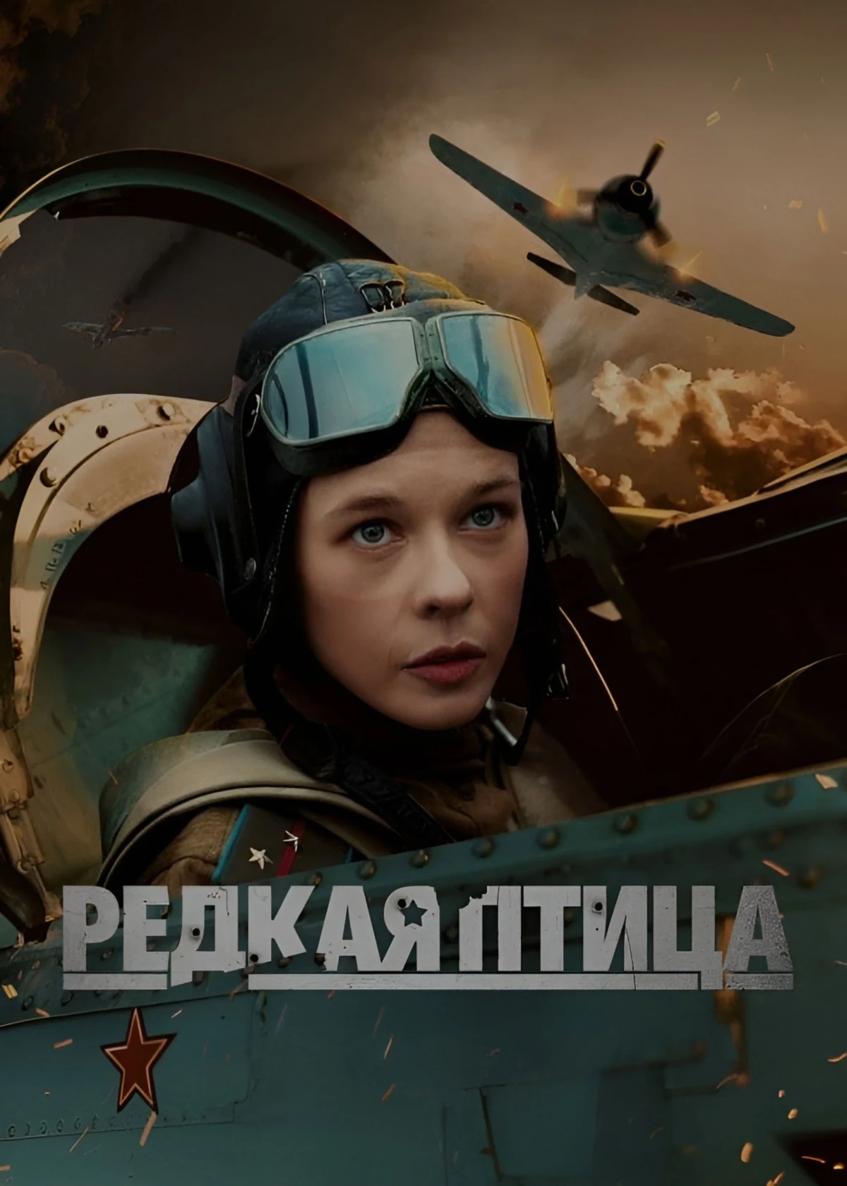 Постер сериалаРедкая птица