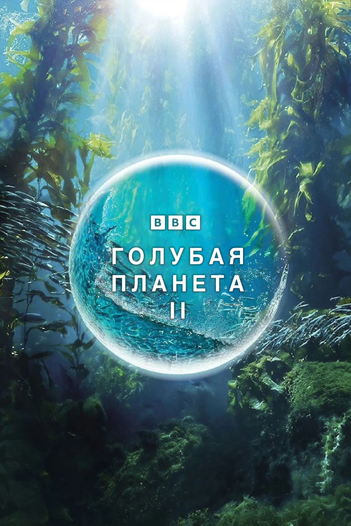 Постер сериалаГолубая планета 2
